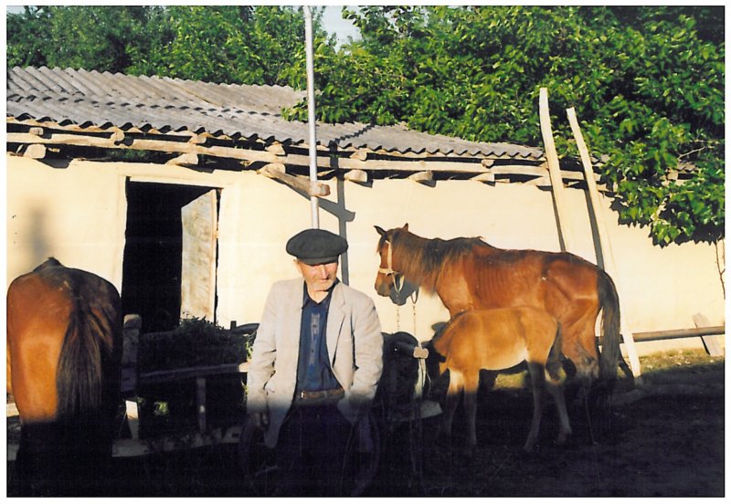 azerifoto081.jpg