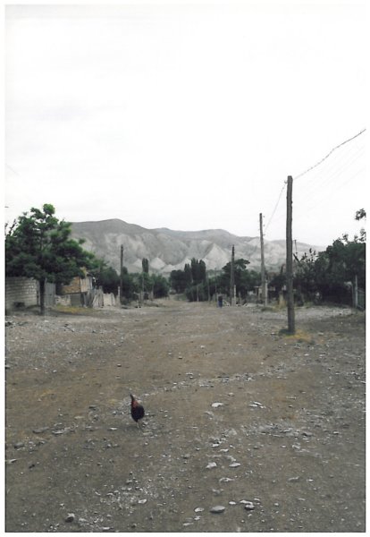 azerifoto184.jpg