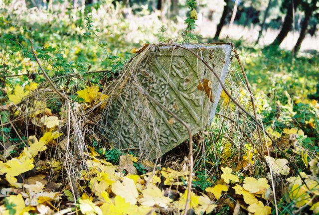 bek_1999_081.jpg