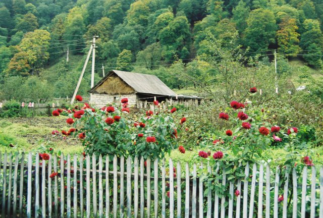 kar_2000_012.jpg