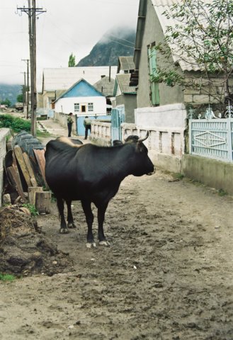 kar_2000_057.jpg