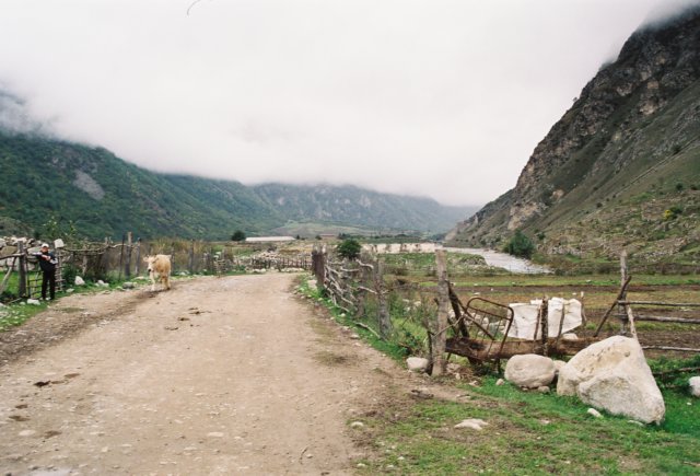 kar_2000_070.jpg