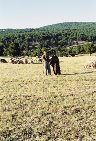 kar_2001_079.jpg