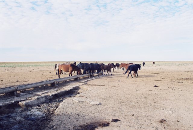 kaz_1997_080.jpg