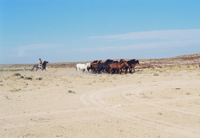 kaz_1997_083.jpg