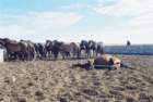 kaz_1997_084pp_small.jpg