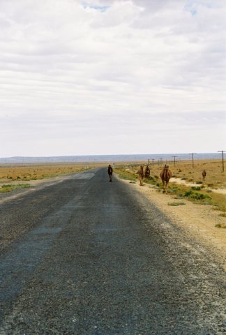 kaz_1997_101.jpg