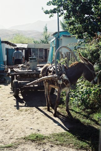 kir_2002_036.jpg