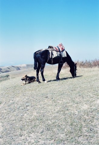 kir_2002_099.jpg