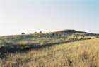 kir_2002_151_small.jpg