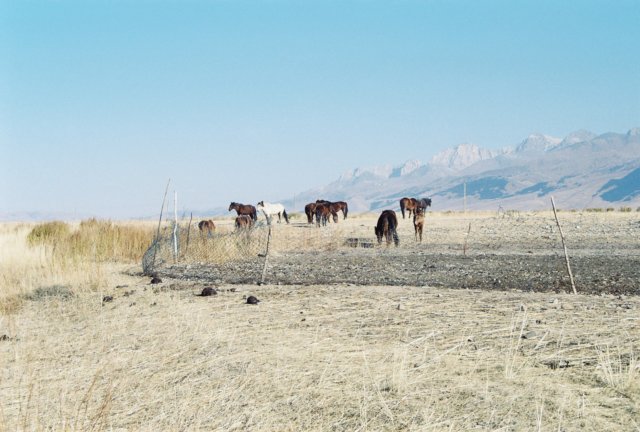 kir_2002_231.jpg