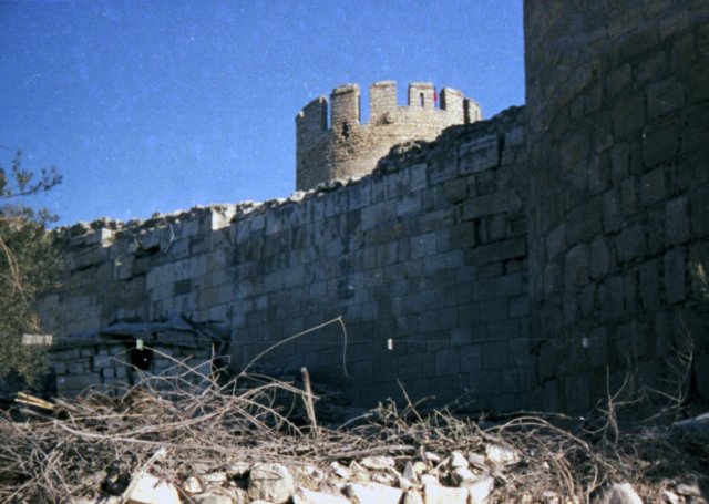 tur_1988_092.jpg