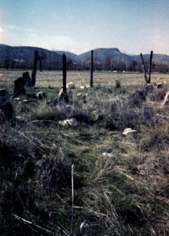 tur_1988_100pp.jpg