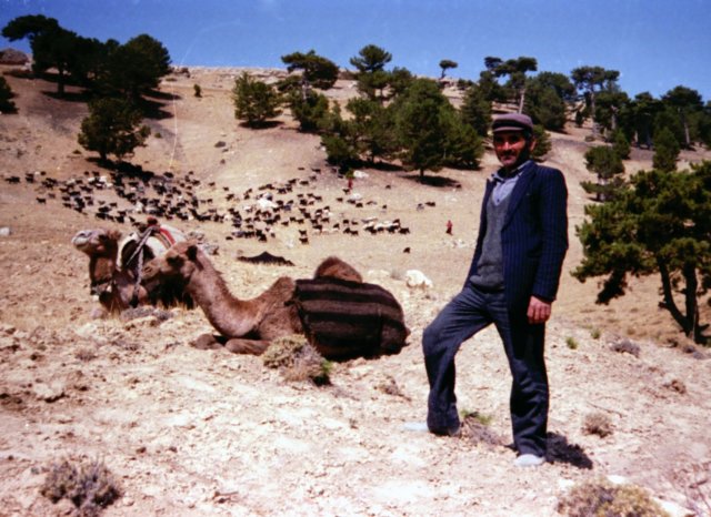 tur_1988_219p.jpg