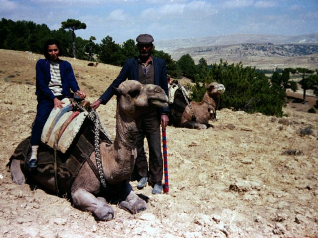 tur_1988_220.jpg