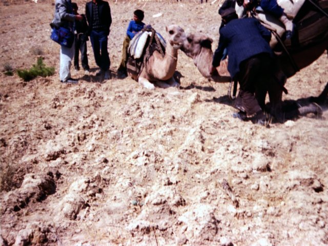 tur_1988_220pp.jpg