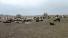 dsc10364_small.jpg