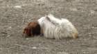 dsc10367_small.jpg