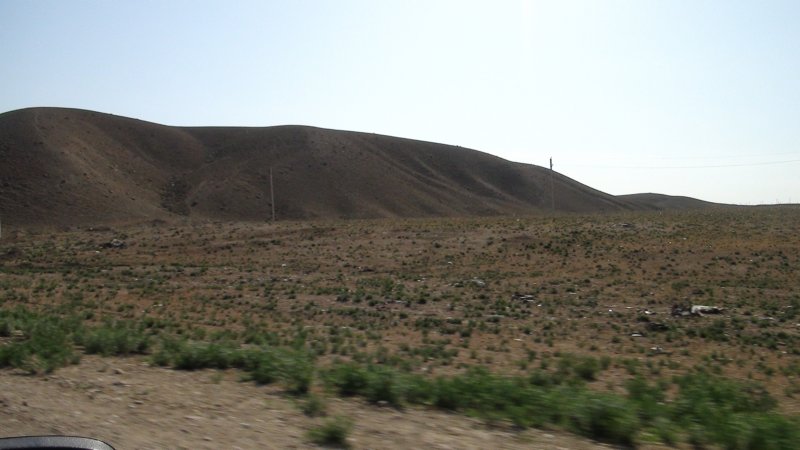 dsc10556.jpg