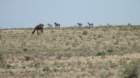 dsc10719_small.jpg