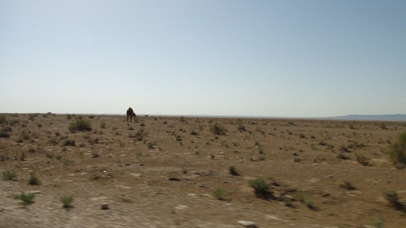 dsc10781.jpg