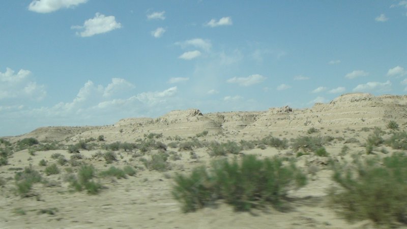 dsc11015.jpg