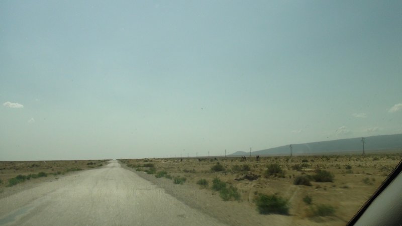 dsc11030.jpg