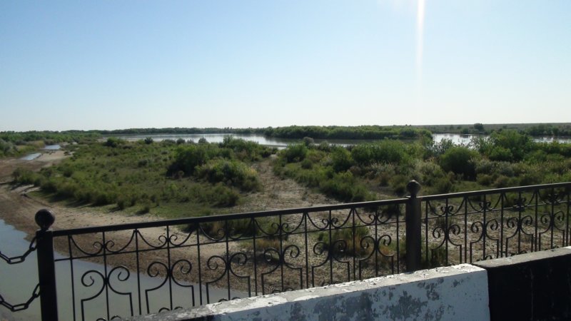 dsc11502.jpg