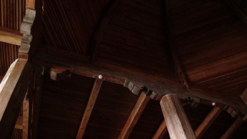 dsc11737.jpg