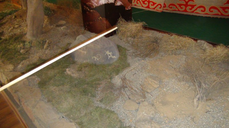 dsc11939.jpg