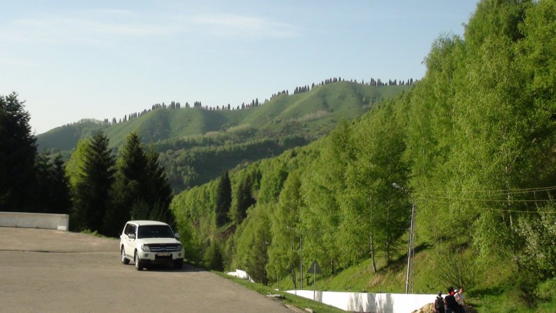 dsc12100.jpg